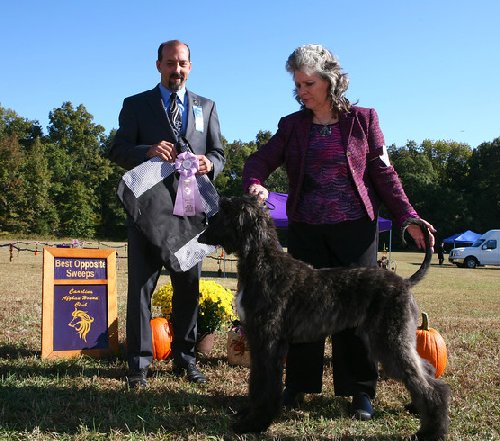 Jerry Lee Sunday BOS Sweeps CAHC.jpg - 67.31 K